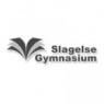 Logo for Slagelse Gymnasium